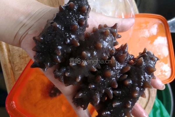 发海参的做法图解11