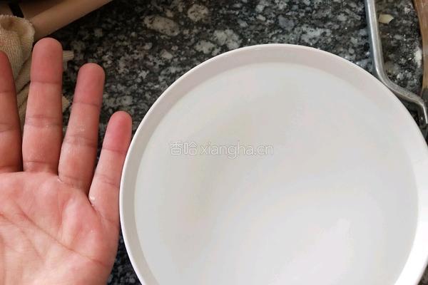 阿利茄汁面的做法图解6