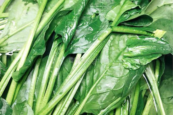 菠菜粉条的做法图解2