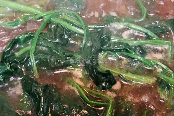 菠菜粉条的做法图解7