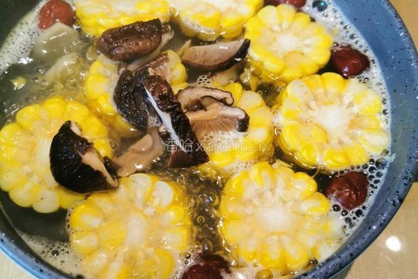 姜枣玉米菌汤的做法图解5