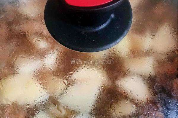 土豆炖鸡块的做法图解8