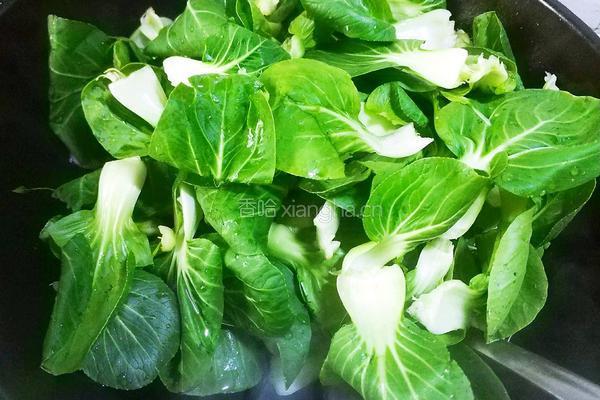 黑木耳炒青菜的做法图解6