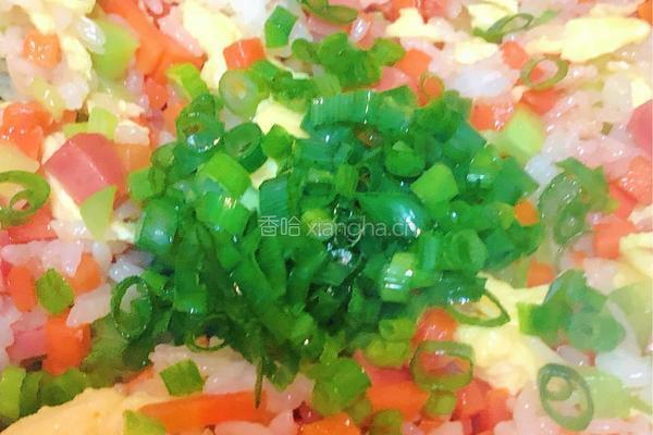 彩虹炒饭的做法图解12