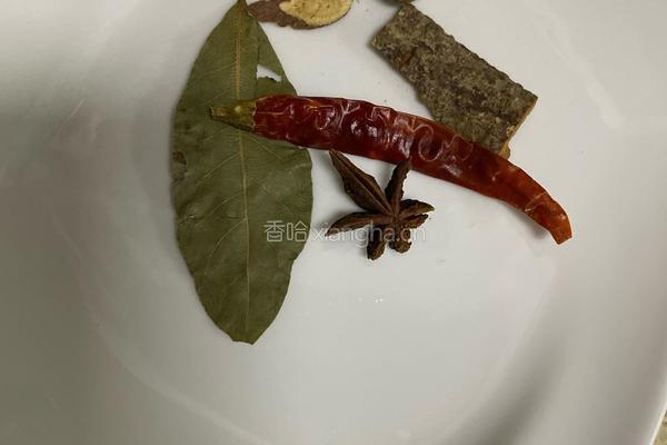 电饭煲卤牛肉粒的做法图解5