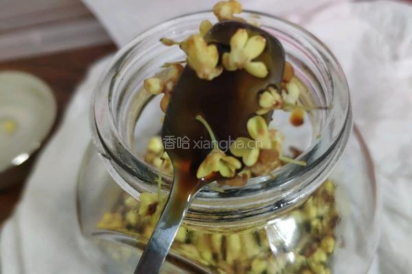 桂花蜜的做法图解3