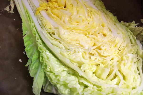 积东北酸菜的做法图解1