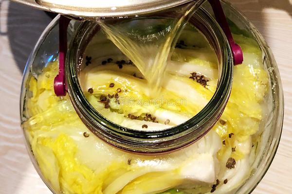 积东北酸菜的做法图解5