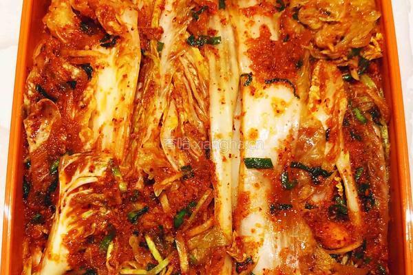 韩式辣白菜的做法图解15