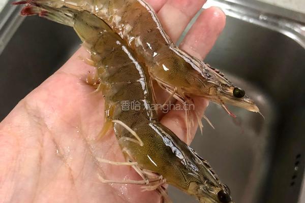 海鲜粥的做法图解3