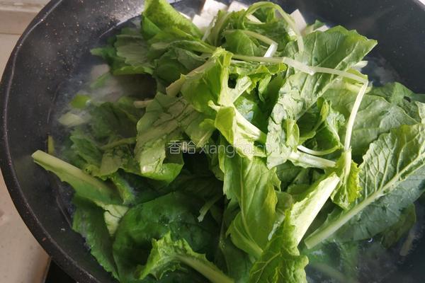 小白菜蚶子豆腐汤的做法图解12