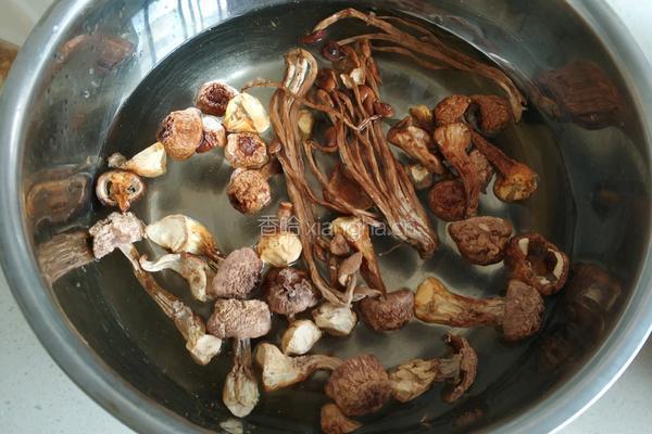姬松茸茶树菇炖鸡腿的做法图解1
