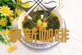 芝麻叶枸杞豆腐汤