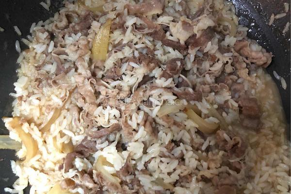 赛吉野肥牛饭的做法图解4
