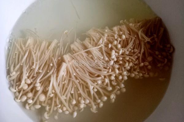 番茄豆腐菌菇汤的做法图解5