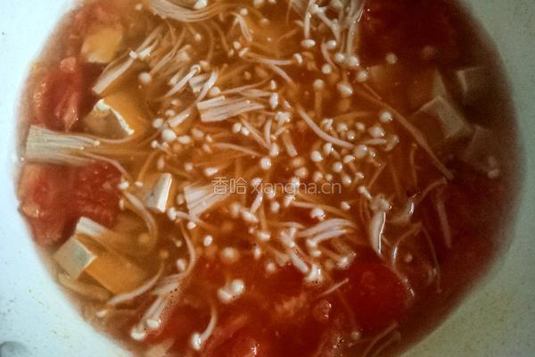 番茄豆腐菌菇汤的做法图解12