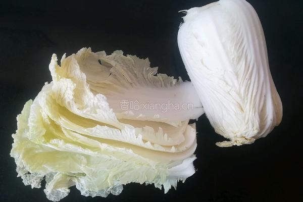 白菜肉卷的做法图解3