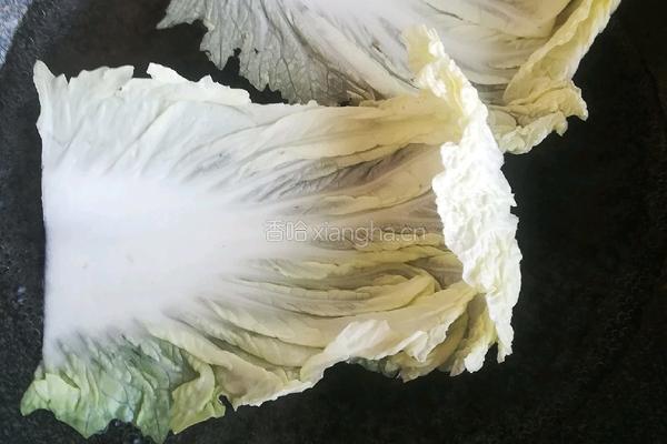 白菜肉卷的做法图解9