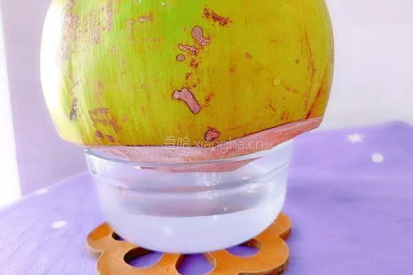 金针菇番茄椰汁牛骨汤的做法图解12