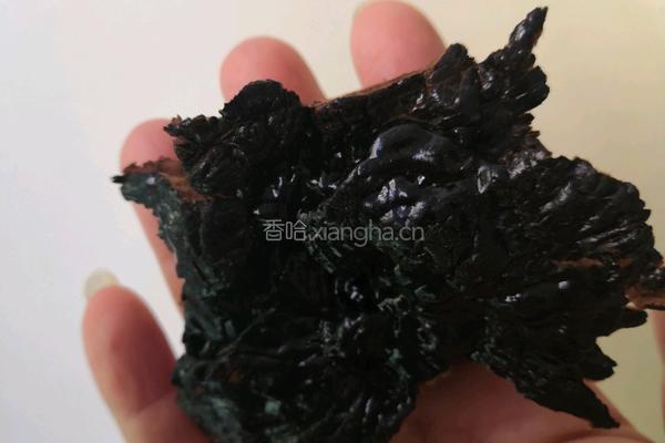石斛灵芝汤的做法图解1