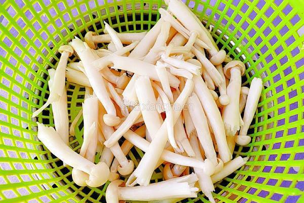 红枣海鲜菇鸡汤的做法图解10