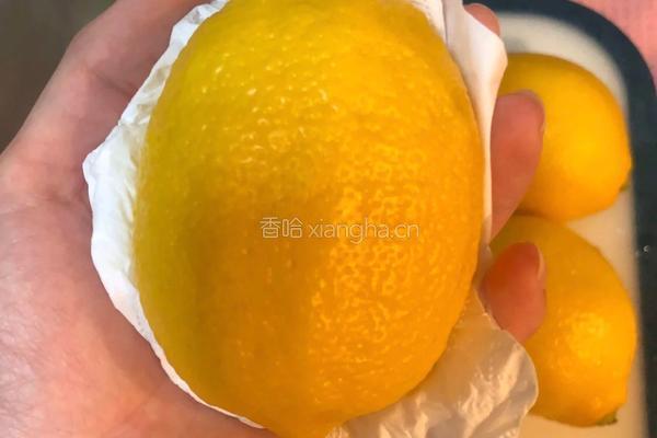 自制川贝陈皮柠檬膏的做法图解5