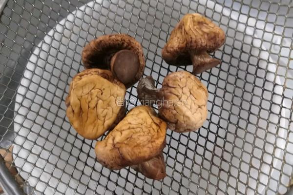 口蘑枸杞瘦肉汤的做法图解9