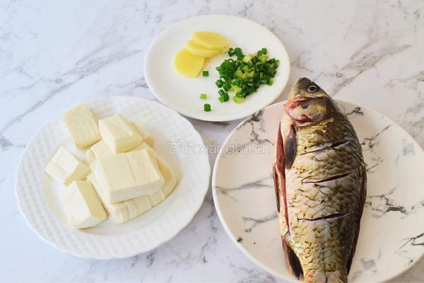 鲫鱼豆腐汤的做法图解2