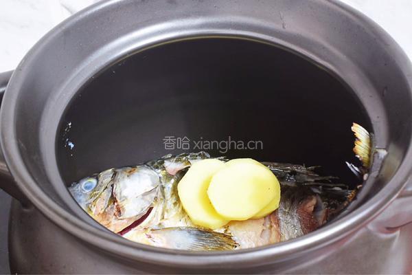 鲫鱼豆腐汤的做法图解4