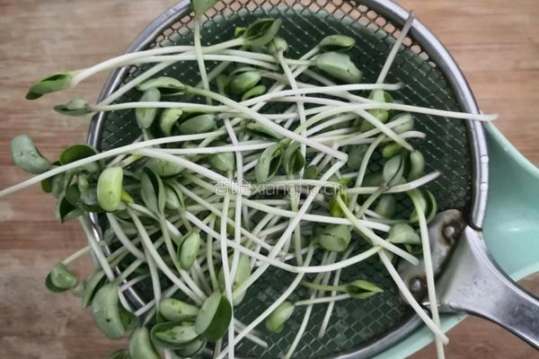 蟹柳豆芽汤的做法图解4