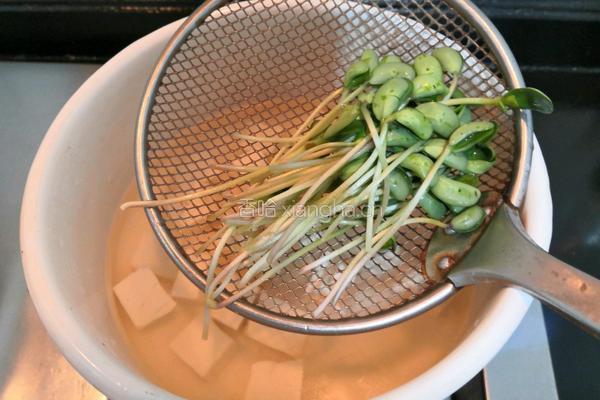 黑豆芽豆腐汤的做法图解9