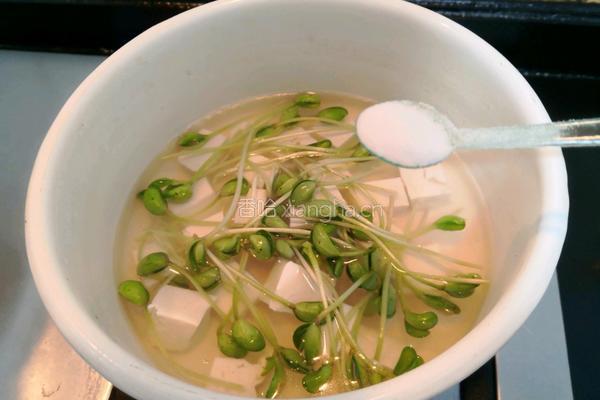 黑豆芽豆腐汤的做法图解10
