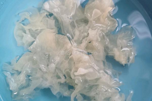 桃胶银耳薏米汤的做法图解3