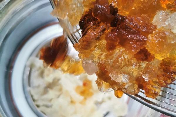 桃胶银耳薏米汤的做法图解4