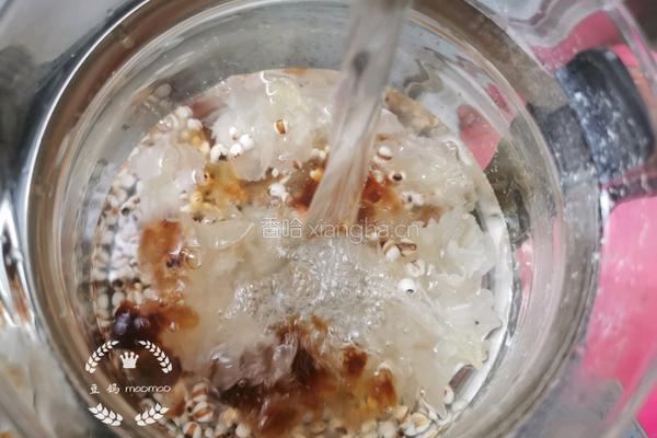 桃胶银耳薏米汤的做法图解6