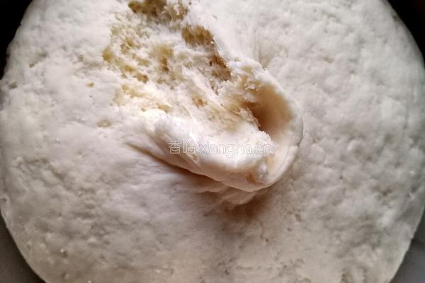 茴香肉馅生煎包的做法图解9