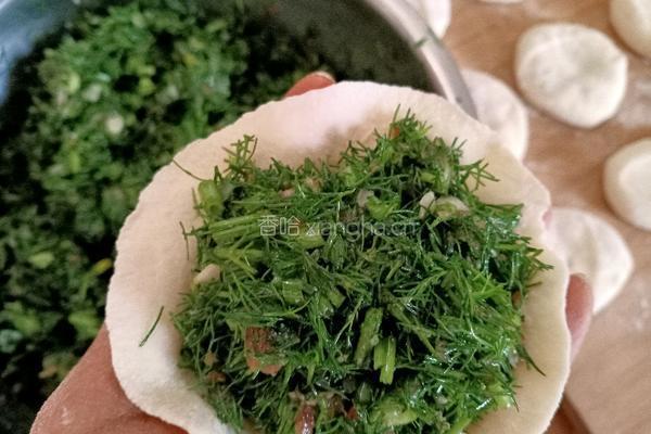 茴香肉包的做法图解12