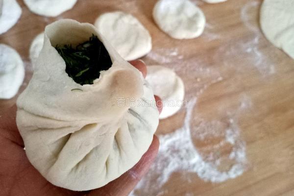 茴香肉包的做法图解13
