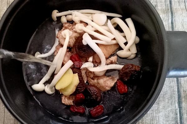 砂锅菌菇鸡汤的做法图解7