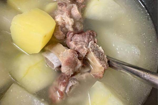 冬瓜土豆排骨汤的做法图解8