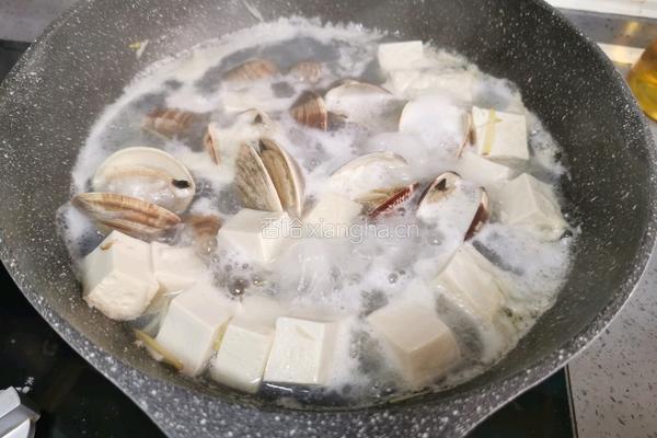 蛤蜊豆腐汤的做法图解8