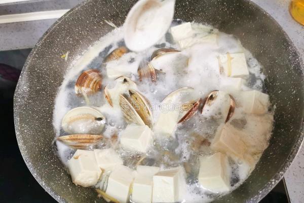 蛤蜊豆腐汤的做法图解9