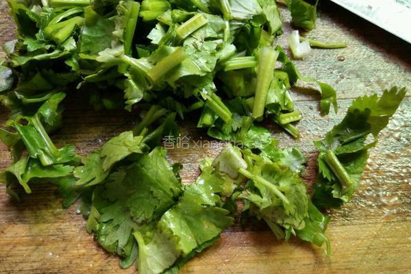 香菜鸭肉宽面的做法图解4