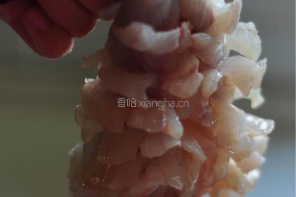 松鼠桂鱼的做法图解2