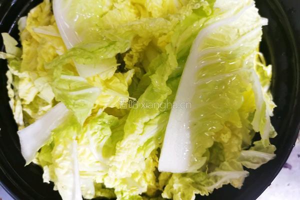 粉丝白菜丸子煲的做法图解6