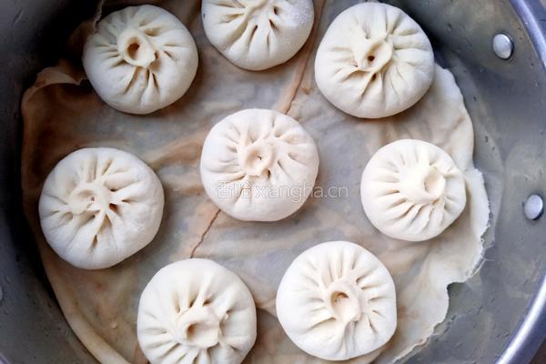 茴香肉包的做法图解16