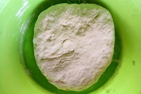 香菜肉饼的做法图解1
