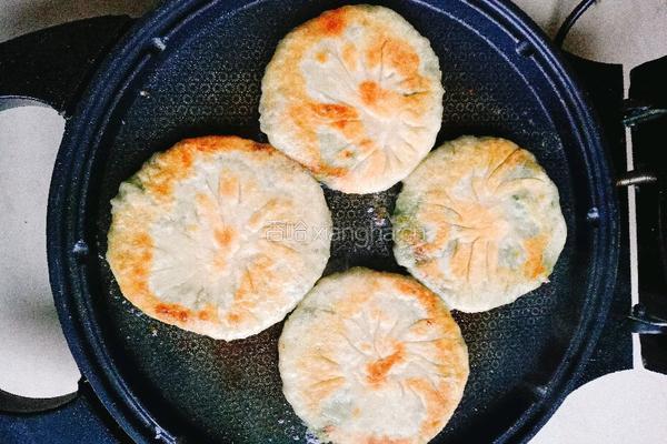 香菜肉饼的做法图解13