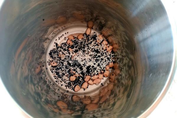黑芝麻糊的做法图解3