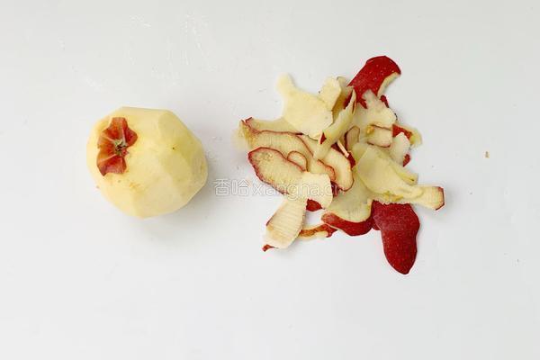 宝宝辅食：苹果泥6M+的做法图解2